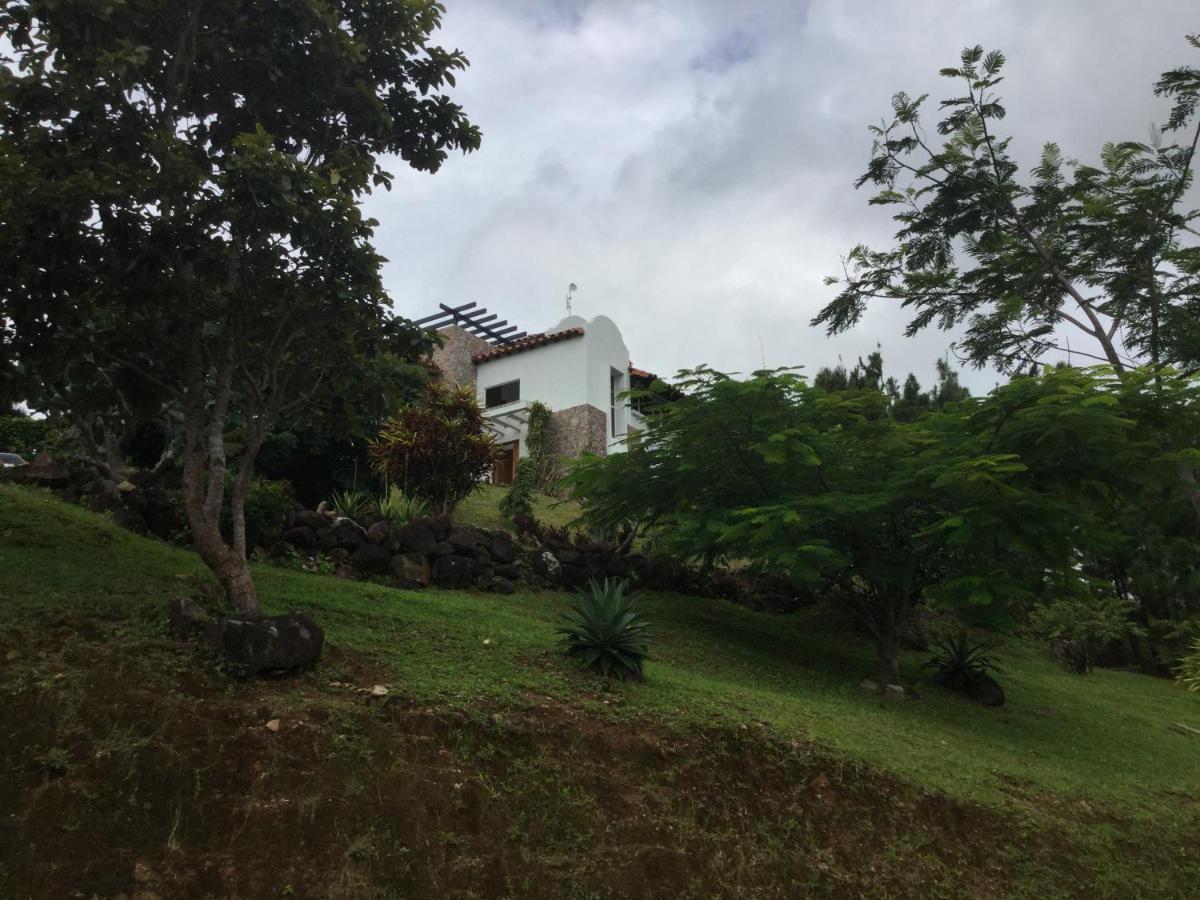 Hawk'S Nest Bed & Breakfast La Laguna de San Carlos Екстериор снимка