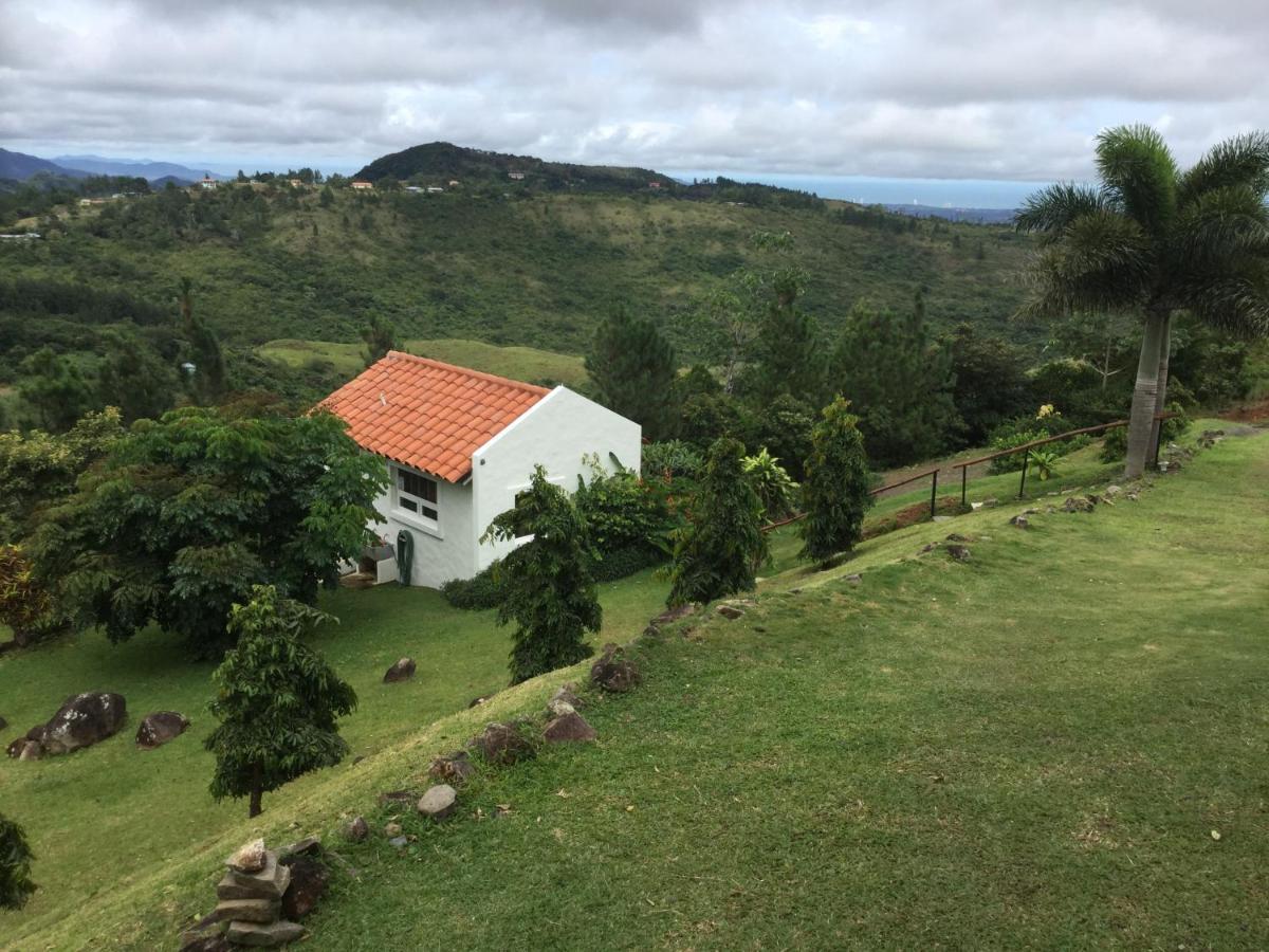 Hawk'S Nest Bed & Breakfast La Laguna de San Carlos Екстериор снимка