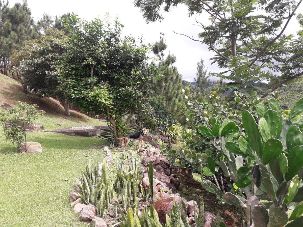 Hawk'S Nest Bed & Breakfast La Laguna de San Carlos Екстериор снимка