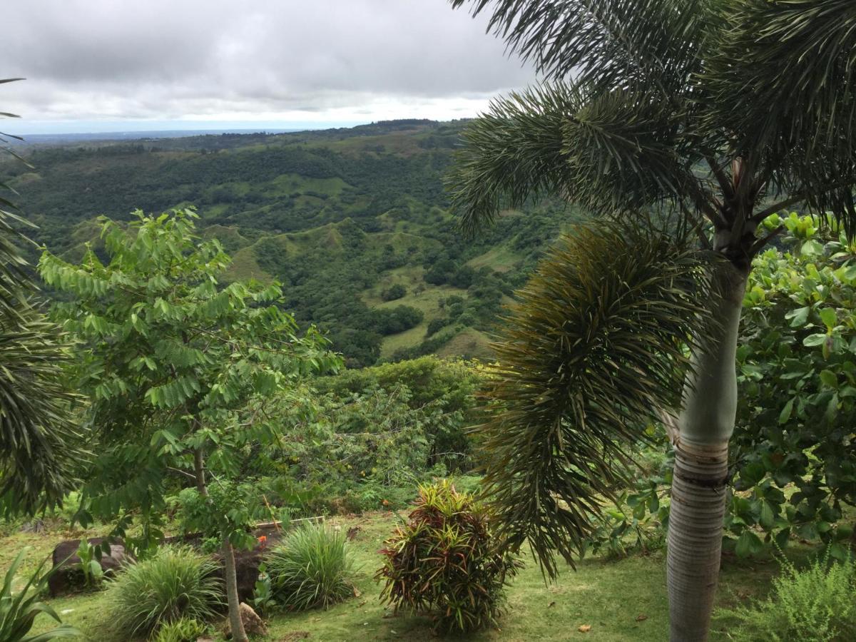 Hawk'S Nest Bed & Breakfast La Laguna de San Carlos Екстериор снимка