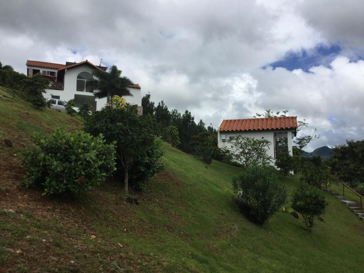 Hawk'S Nest Bed & Breakfast La Laguna de San Carlos Екстериор снимка