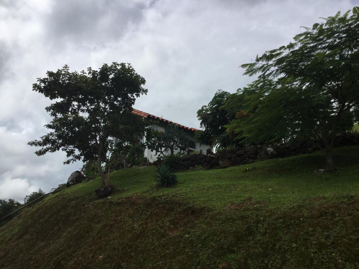 Hawk'S Nest Bed & Breakfast La Laguna de San Carlos Екстериор снимка