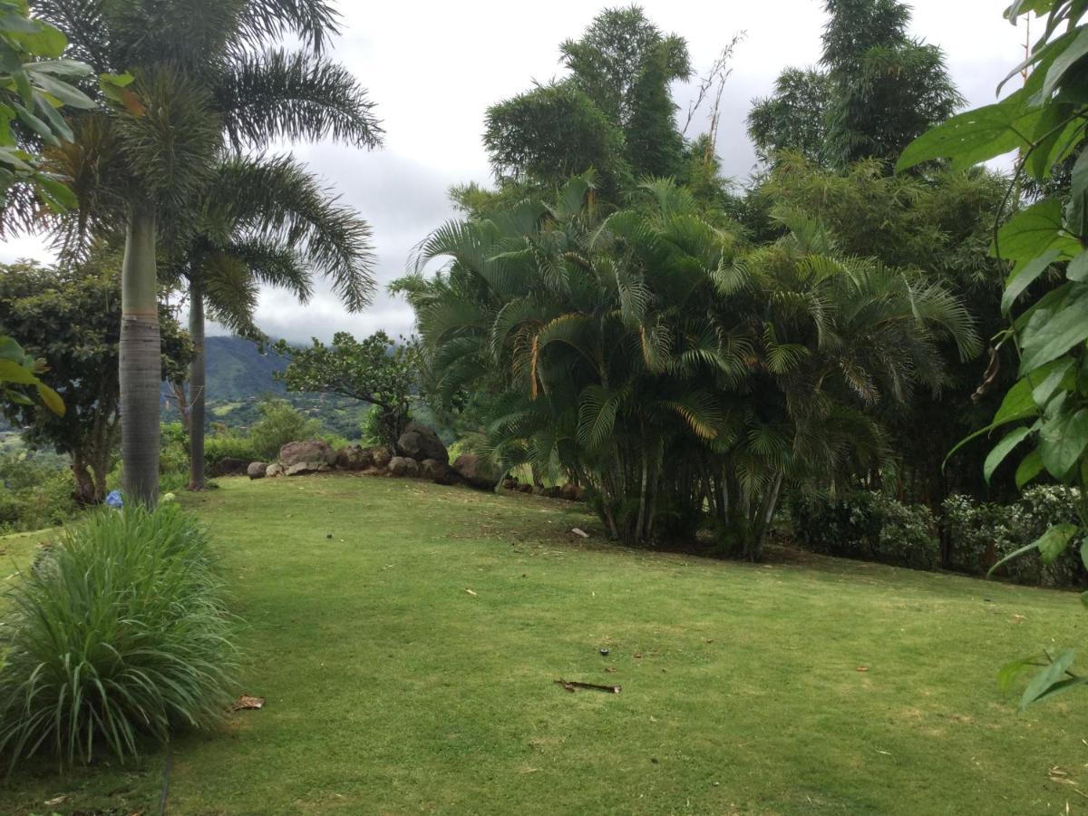 Hawk'S Nest Bed & Breakfast La Laguna de San Carlos Екстериор снимка