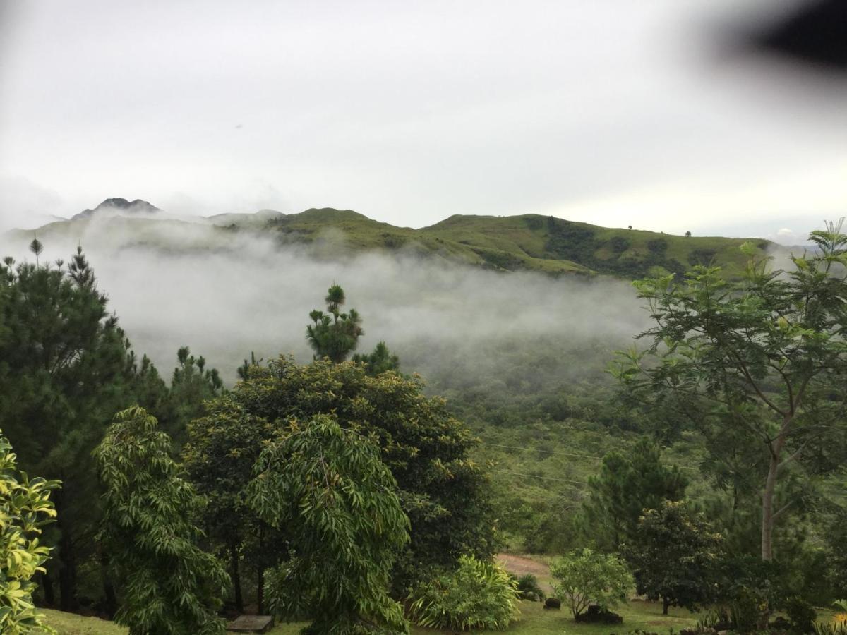 Hawk'S Nest Bed & Breakfast La Laguna de San Carlos Екстериор снимка