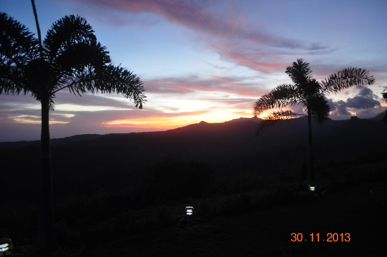 Hawk'S Nest Bed & Breakfast La Laguna de San Carlos Екстериор снимка