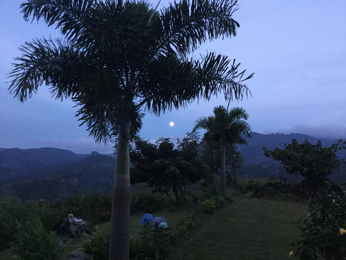 Hawk'S Nest Bed & Breakfast La Laguna de San Carlos Екстериор снимка