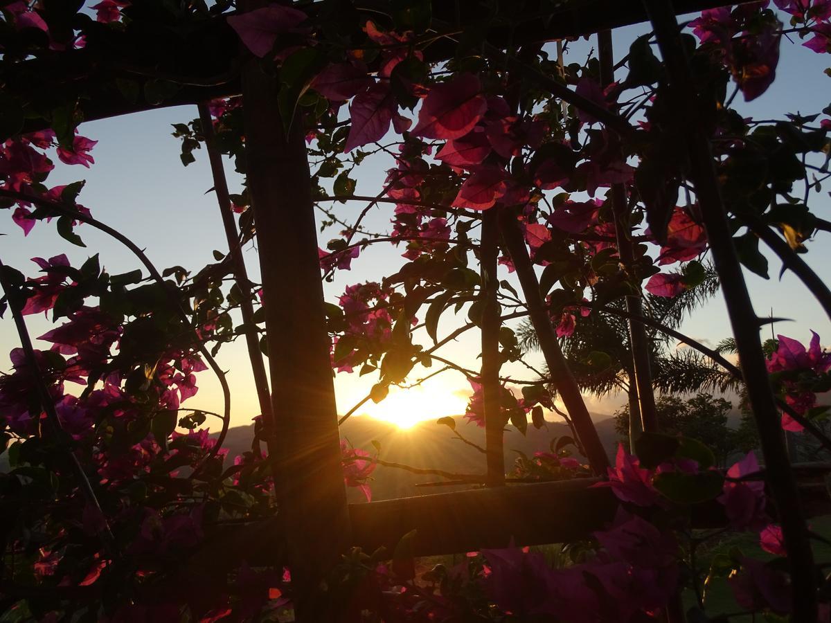 Hawk'S Nest Bed & Breakfast La Laguna de San Carlos Екстериор снимка