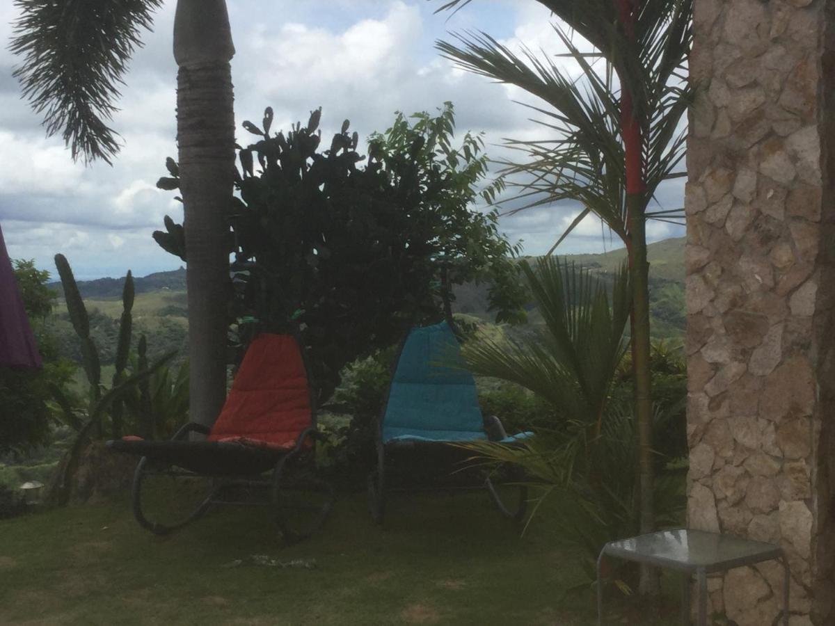 Hawk'S Nest Bed & Breakfast La Laguna de San Carlos Екстериор снимка