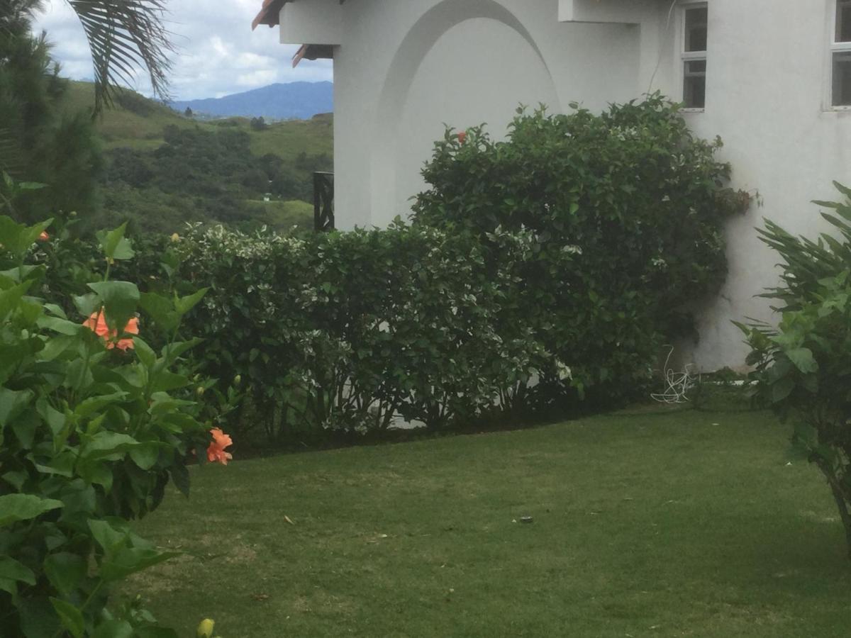 Hawk'S Nest Bed & Breakfast La Laguna de San Carlos Екстериор снимка