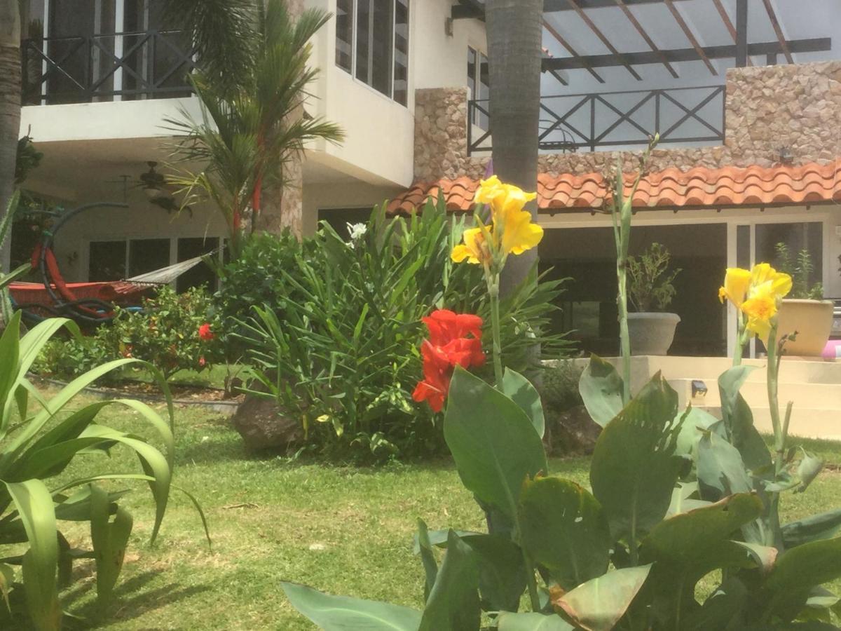 Hawk'S Nest Bed & Breakfast La Laguna de San Carlos Екстериор снимка